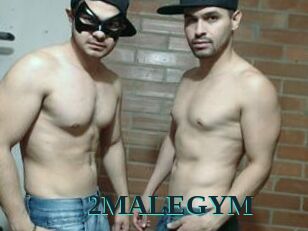 2MALEGYM