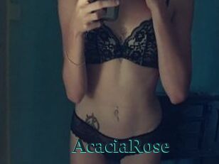 AcaciaRose