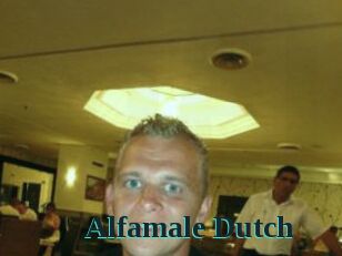Alfamale_Dutch