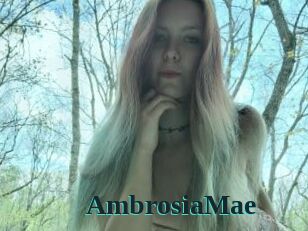 AmbrosiaMae