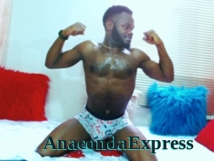 AnacondaExpress