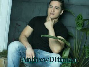 AndrewDittman