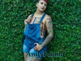 AndyPulido