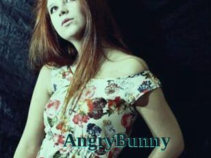 AngryBunny