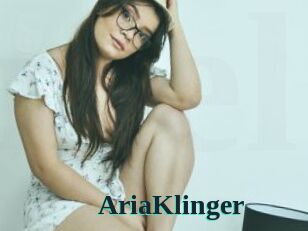 AriaKlinger