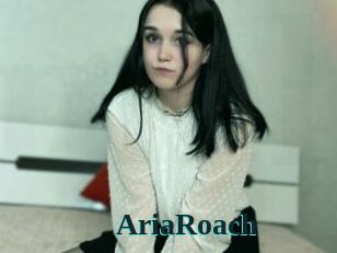 AriaRoach