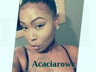 Acacia_rowe