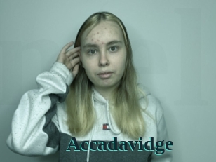 Accadavidge