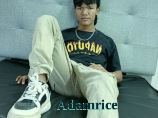 Adamrice