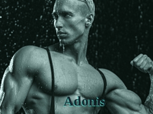 adonis_ Melody Melons