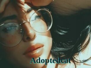 Adoptedcat