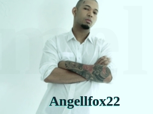 Angellfox22