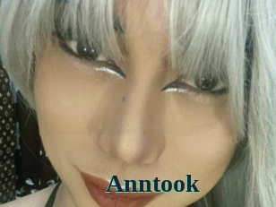 Anntook