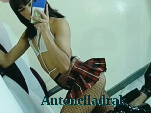 Antonelladrak