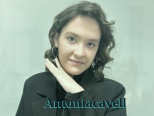 Antoniacavell