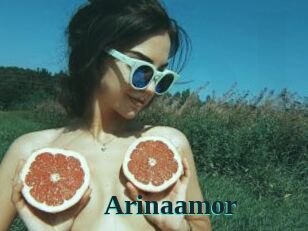 Arinaamor