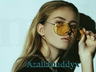 Azaliabuddyx