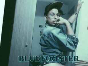 BLUEFOOSTER