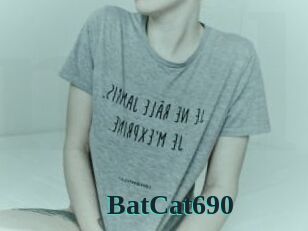 BatCat690