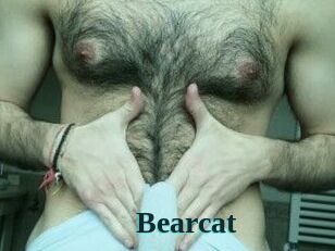 Bearcat