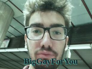 BigGayForYou