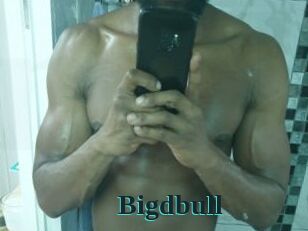 Bigdbull