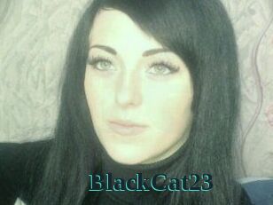 BlackCat23