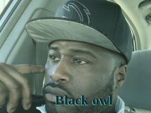 Black_owl