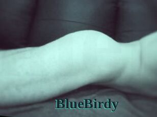 BlueBirdy