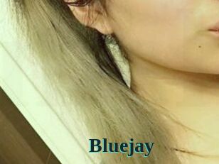 Blue_jay