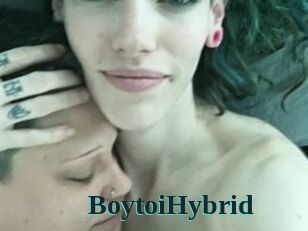 BoytoiHybrid