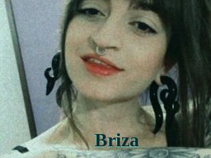 Briza Melody Melons