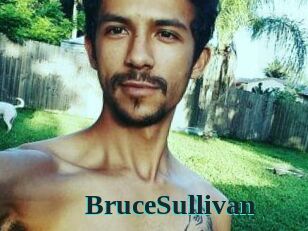 Bruce_Sullivan