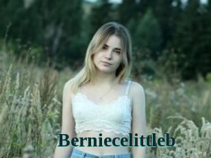 Berniecelittleb