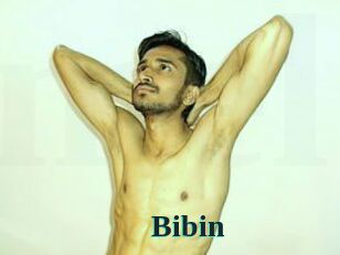 Bibin