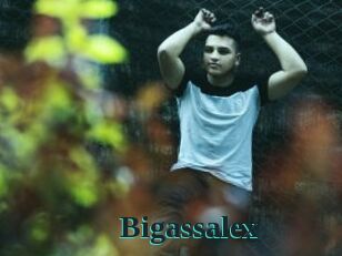 Bigassalex