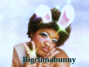 Bigcinnabunny