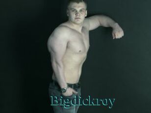 Bigdickroy