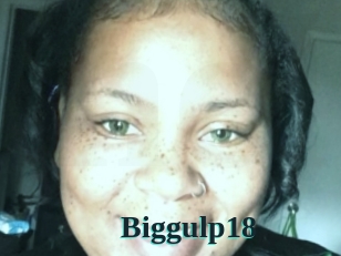 Biggulp18