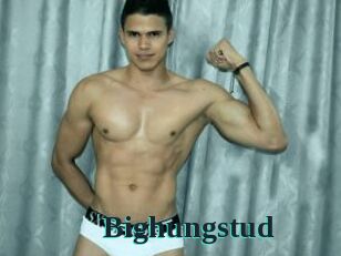 Bighungstud