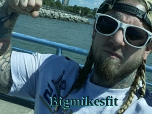 Bigmikesfit