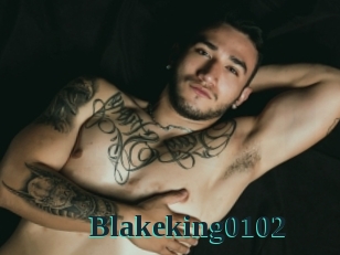 Blakeking0102