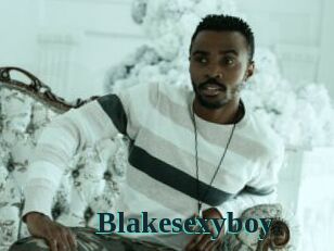 Blakesexyboy