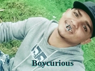 Boycurious