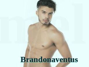 Brandonaventus