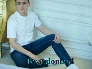 Brandonbud