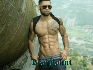 Brandonnt