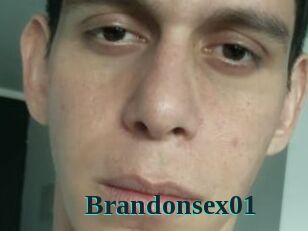 Brandonsex01