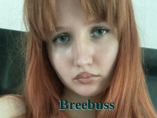 Breebuss