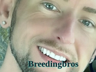 breedingbros Melody Melons